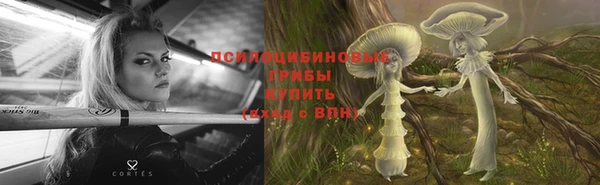 крисы Нея