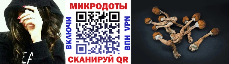 цены Новоузенск Псилоцибиновые грибы Psilocybe